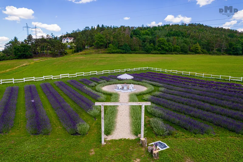 Levandulová farma — záběr z pole