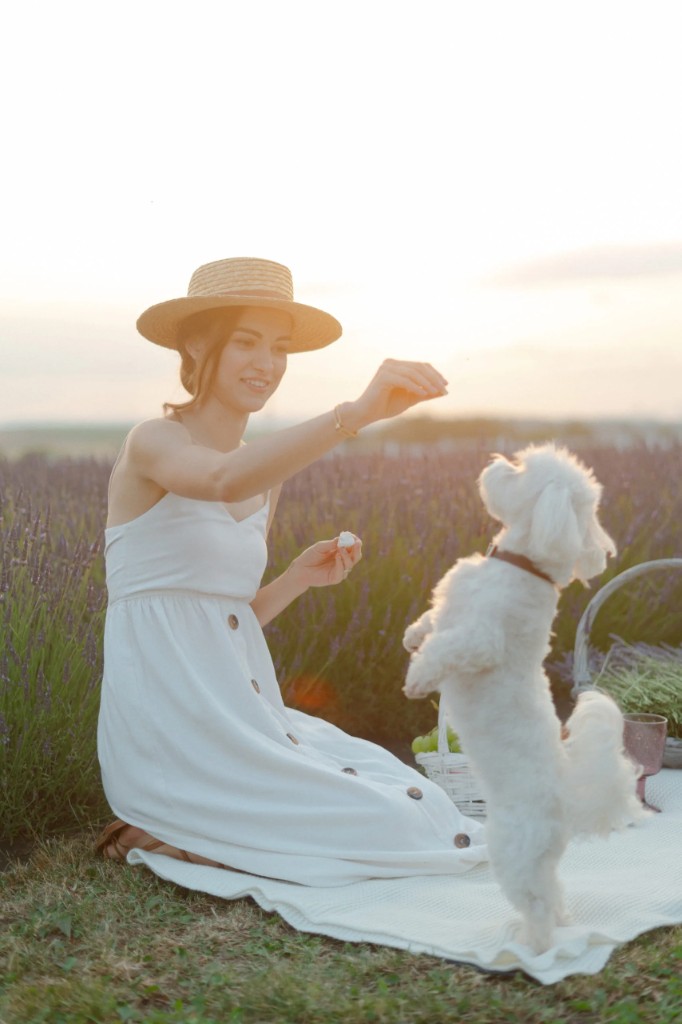Fotografie z levandulové farmy Královská levandule (3/31)