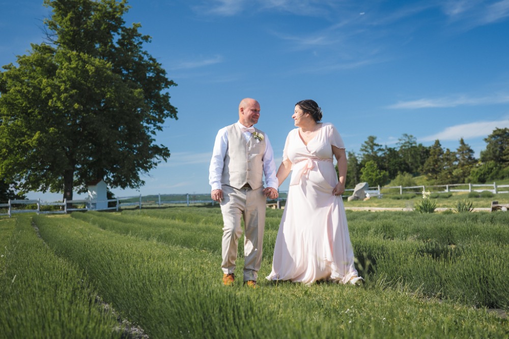 Novomanželé kráčejí ruku v ruce mezi řadami levandule